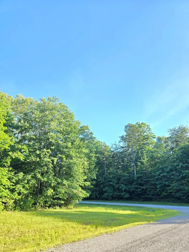 0 N N Laurel Loop Lot 15 Monterey TN 38574