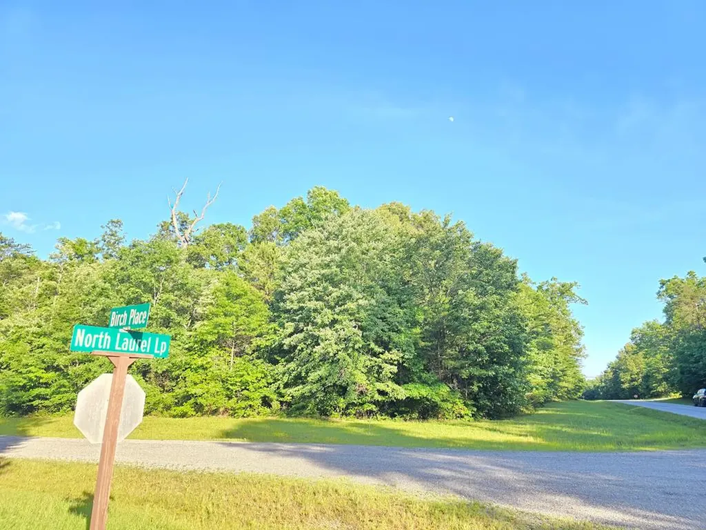 0 N N Laurel Loop Lot 15 Monterey TN 38574