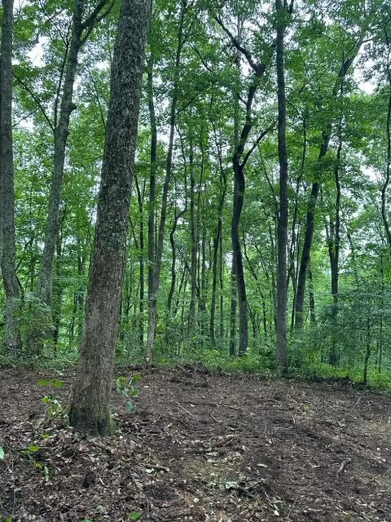 Lot 340 Deep Branch Wilder TN 38589
