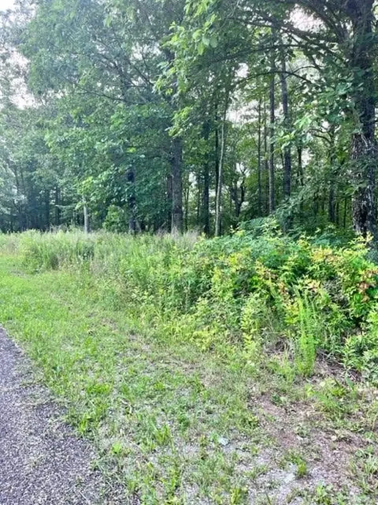 Lot 340 Deep Branch Wilder TN 38589