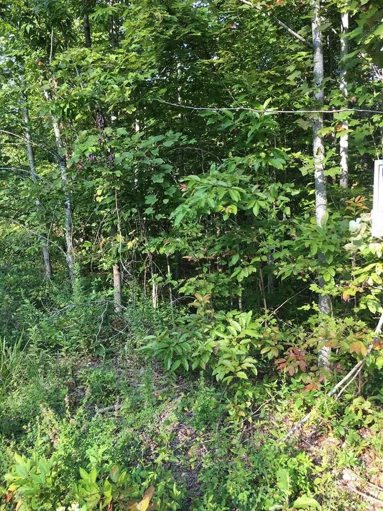 Lot 48 Buckeye Lane Wilder TN 38589