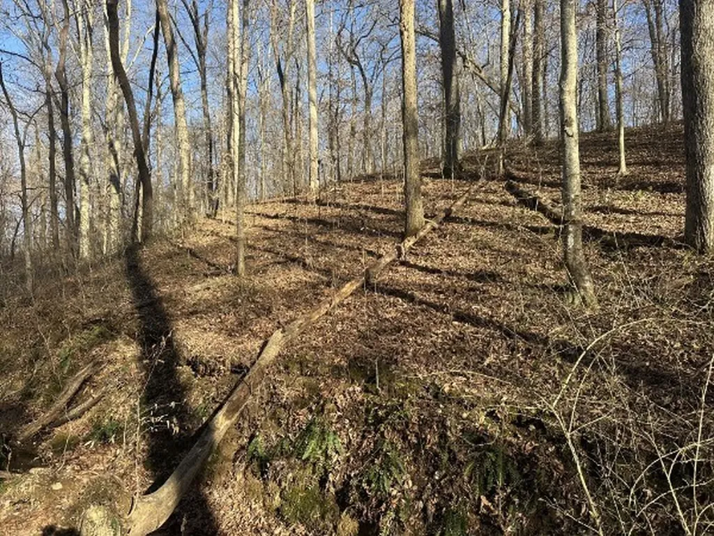 0 Arnold Thomas Road Silver Point TN 38582