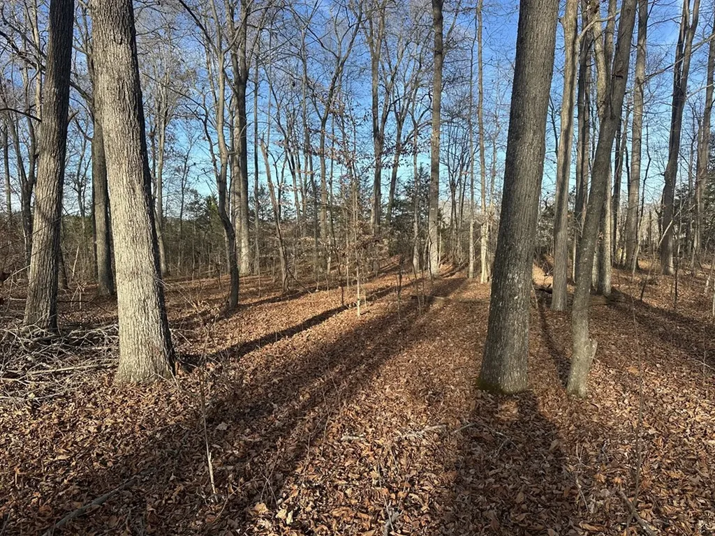 0 Arnold Thomas Road Silver Point TN 38582