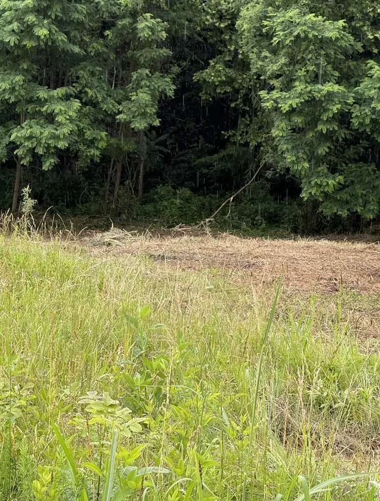 Lot 84c Mallard Road Hilham TN 38568