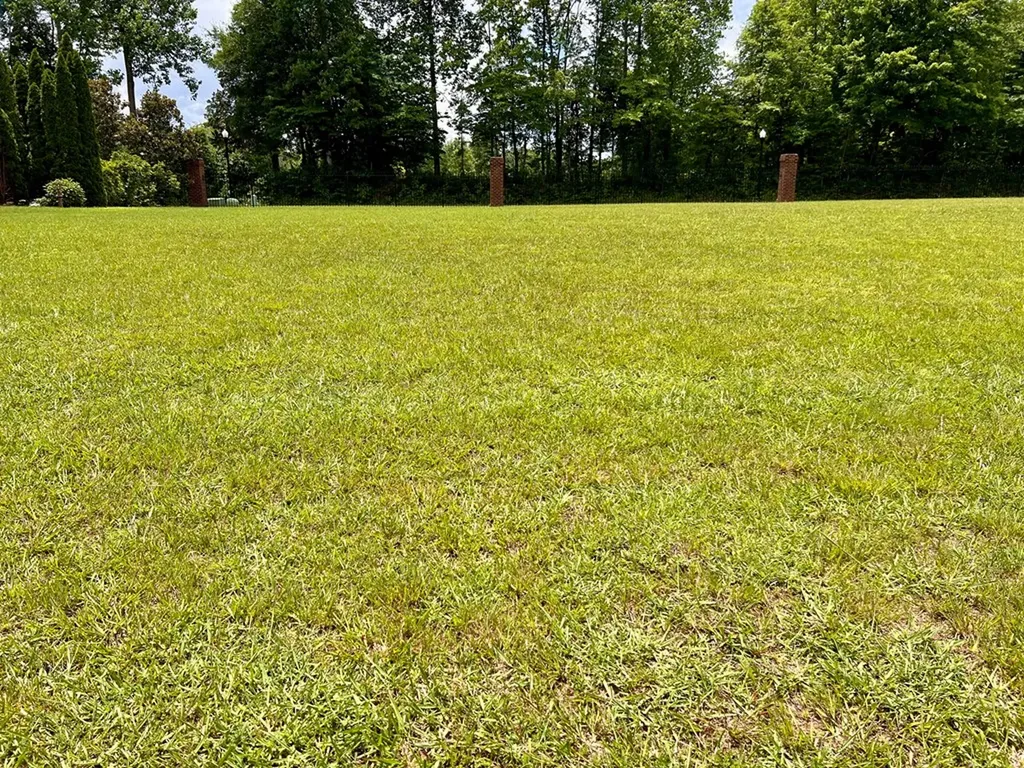 302 Avery Place Cookeville TN 38501