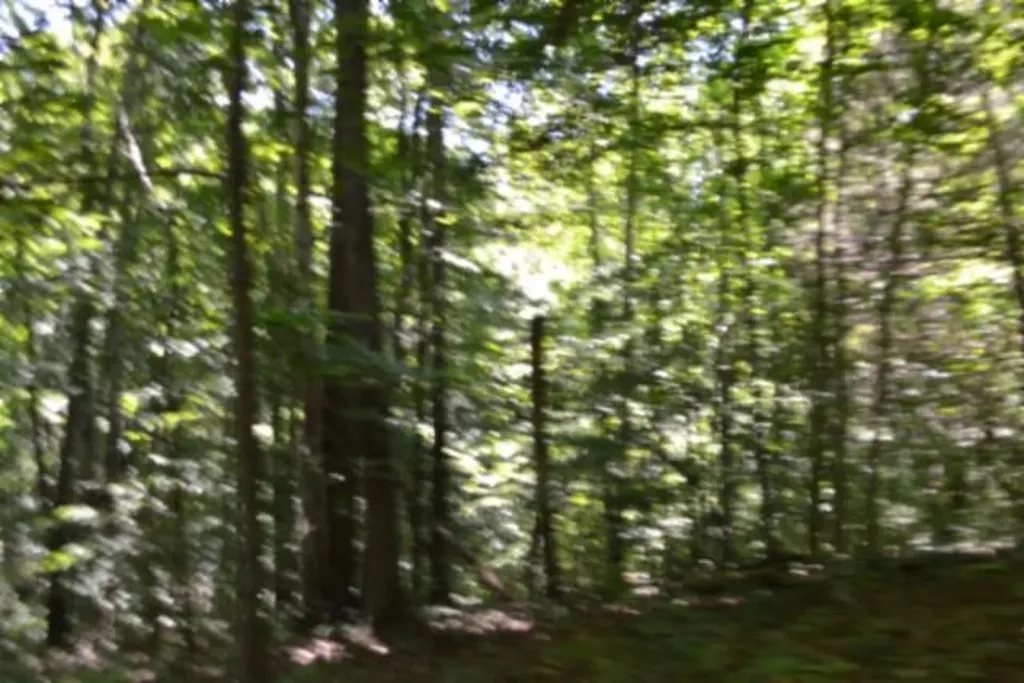 23+/-AC Pea Ridge Fire Tower Road Celina TN 38551
