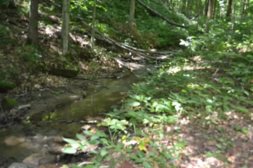 23+/-AC Pea Ridge Fire Tower Road Celina TN 38551