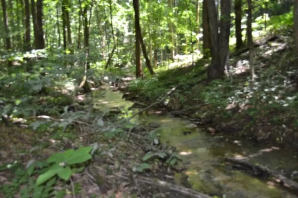 23+/-AC Pea Ridge Fire Tower Road Celina TN 38551