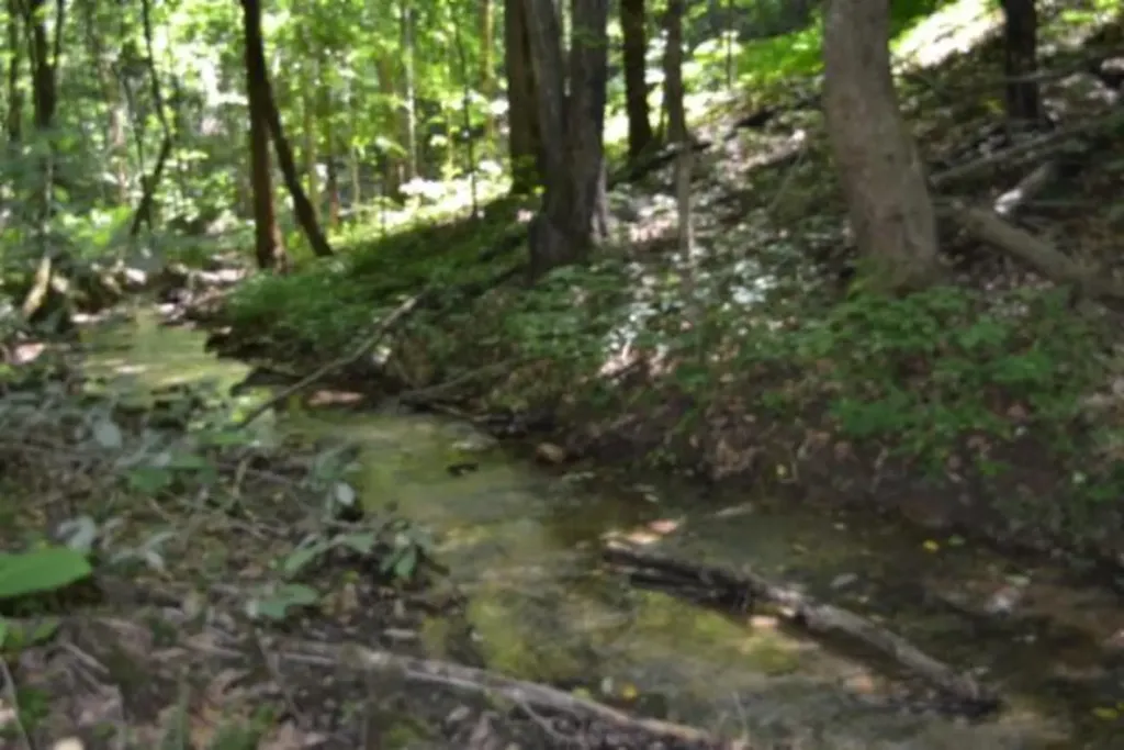 23+/-AC Pea Ridge Fire Tower Road Celina TN 38551