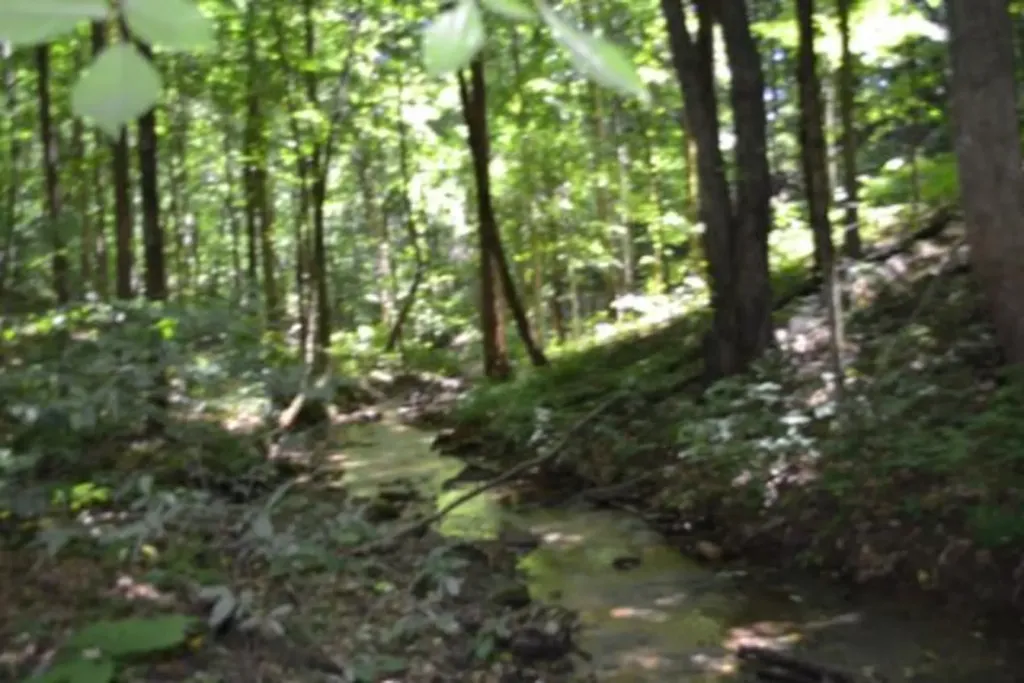 23+/-AC Pea Ridge Fire Tower Road Celina TN 38551