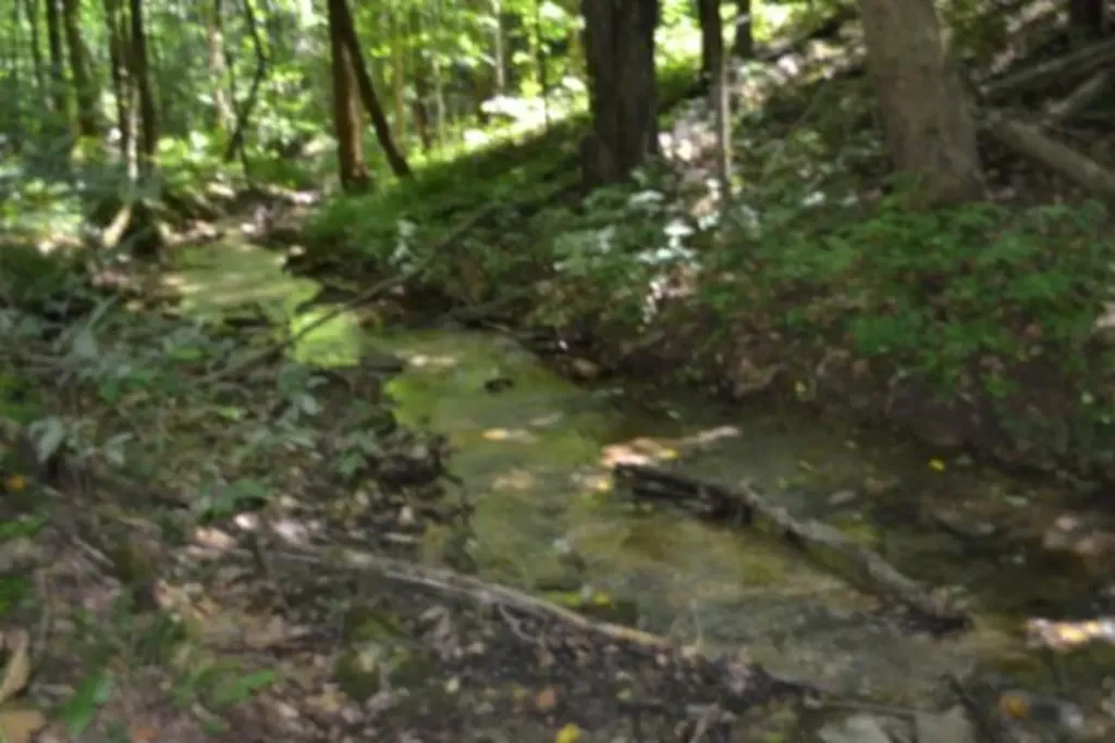 23+/-AC Pea Ridge Fire Tower Road Celina TN 38551