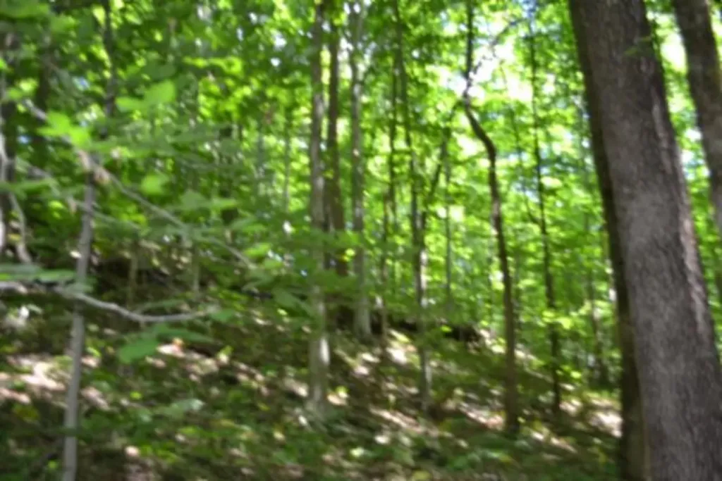 23+/-AC Pea Ridge Fire Tower Road Celina TN 38551