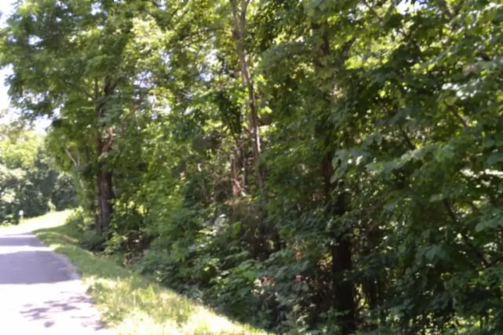 23+/-AC Pea Ridge Fire Tower Road Celina TN 38551