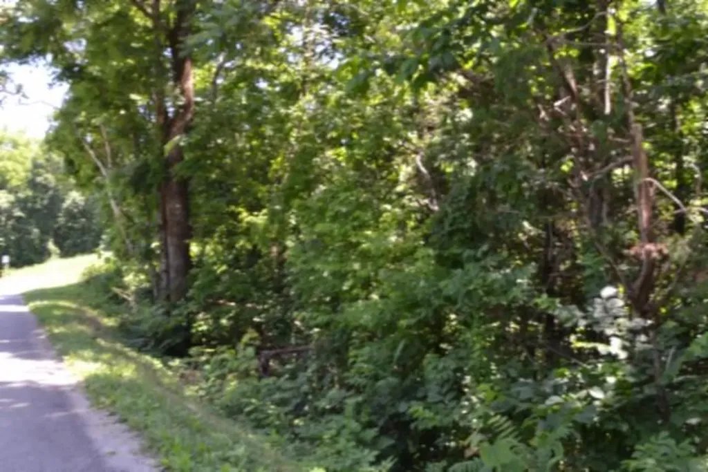 23+/-AC Pea Ridge Fire Tower Road Celina TN 38551