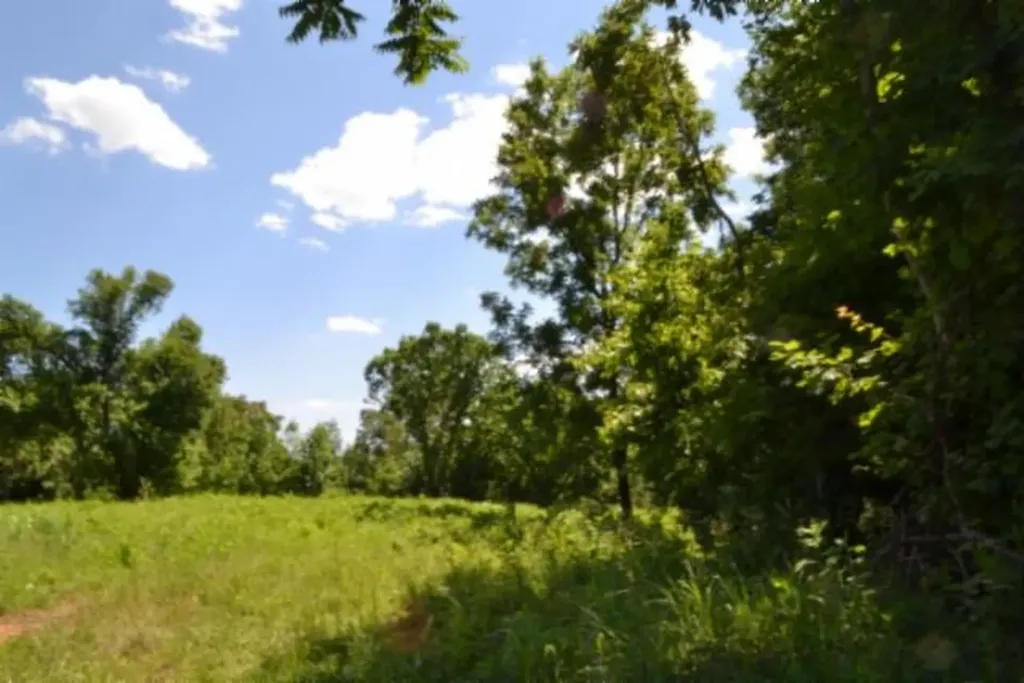 23+/-AC Pea Ridge Fire Tower Road Celina TN 38551