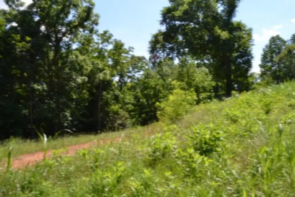 23+/-AC Pea Ridge Fire Tower Road Celina TN 38551