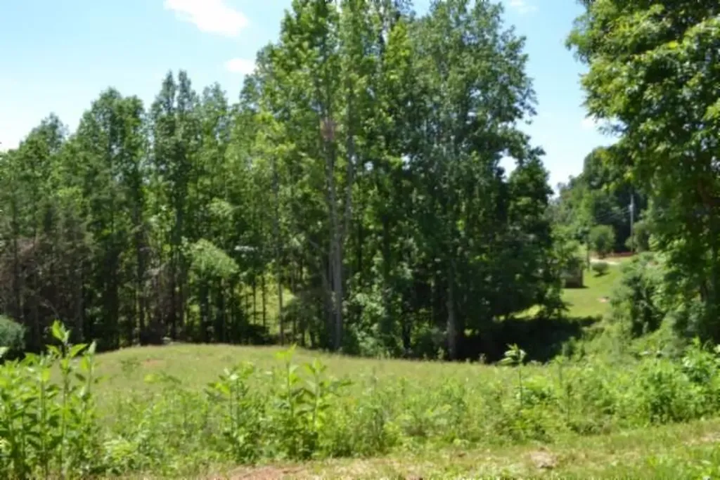 23+/-AC Pea Ridge Fire Tower Road Celina TN 38551
