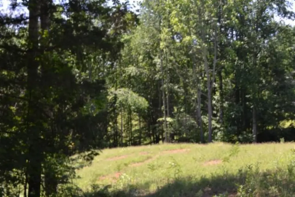 23+/-AC Pea Ridge Fire Tower Road Celina TN 38551