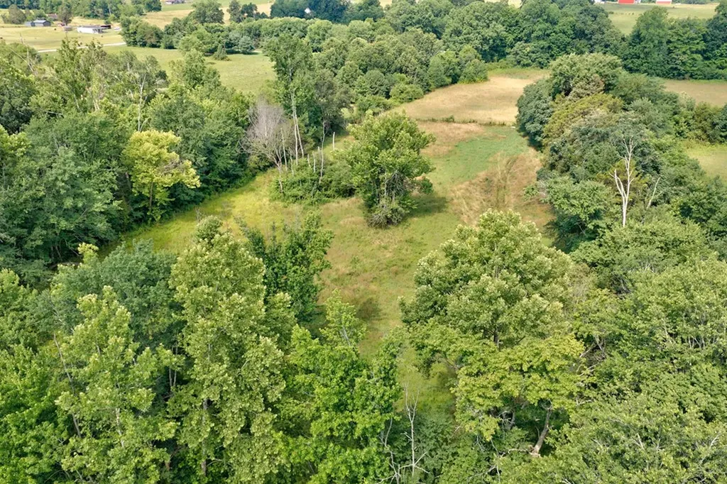 219 Claude Smith Lane Alpine TN 38543