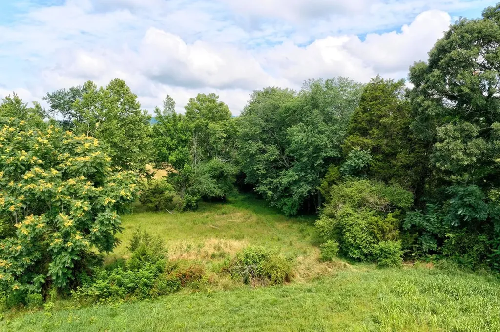 219 Claude Smith Lane Alpine TN 38543