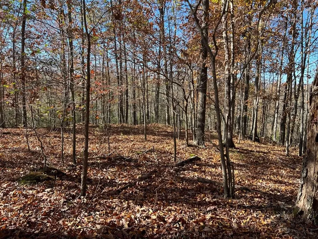 2.19 Ac Old Highway 53 Celina TN 38551