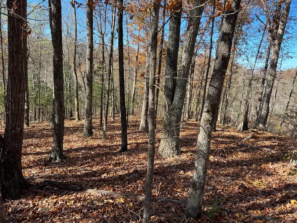 2.19 Ac Old Highway 53 Celina TN 38551