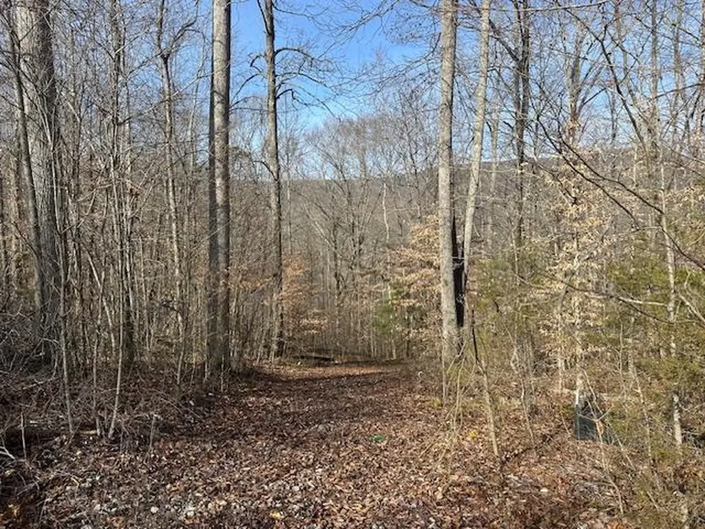 Lot 52 W Bobcat Lane Wilder TN 38589