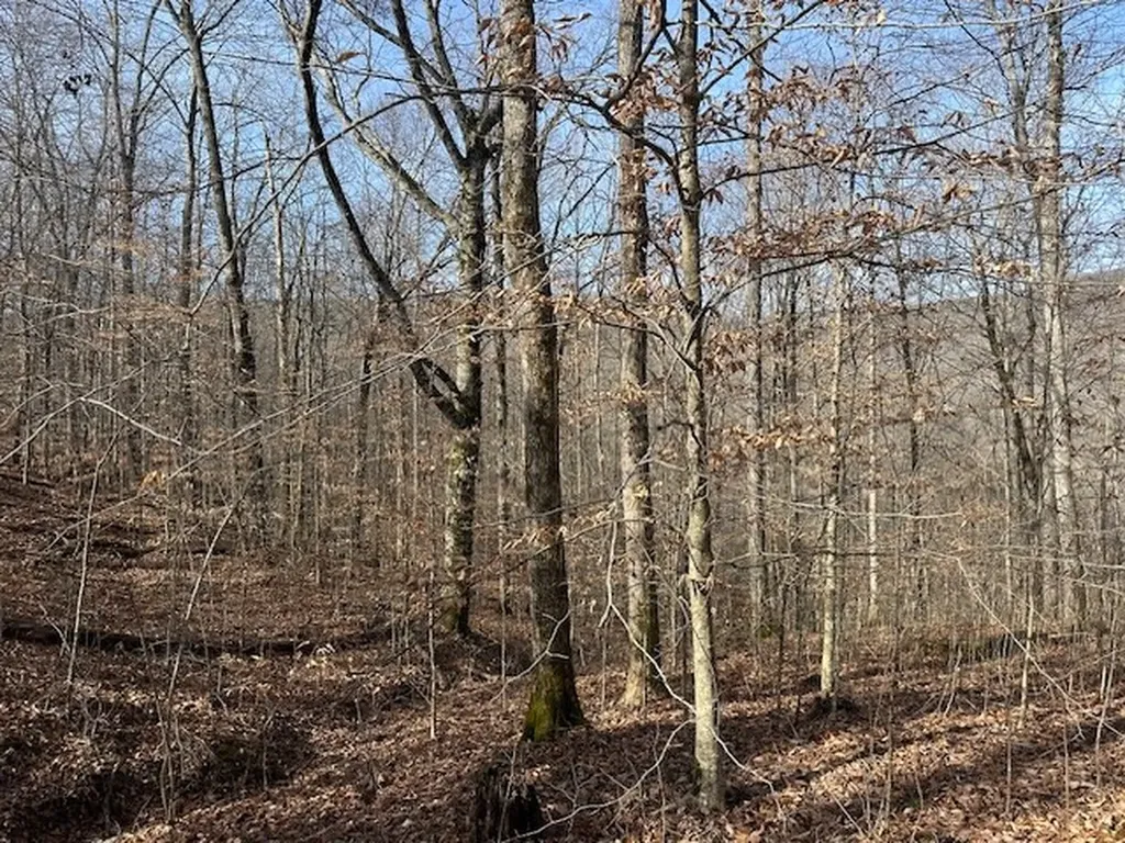 Lot 52 W Bobcat Lane Wilder TN 38589
