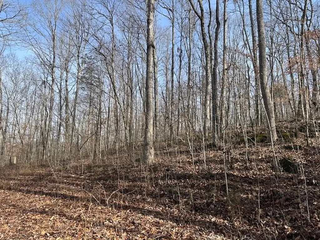 Lot 52 W Bobcat Lane Wilder TN 38589