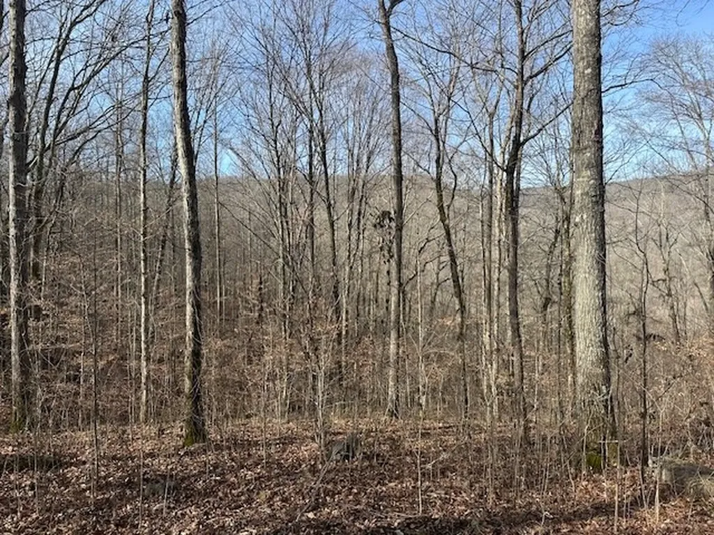 Lot 52 W Bobcat Lane Wilder TN 38589