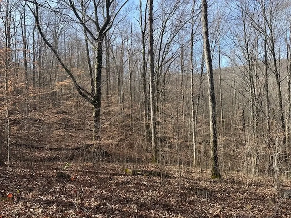 Lot 52 W Bobcat Lane Wilder TN 38589