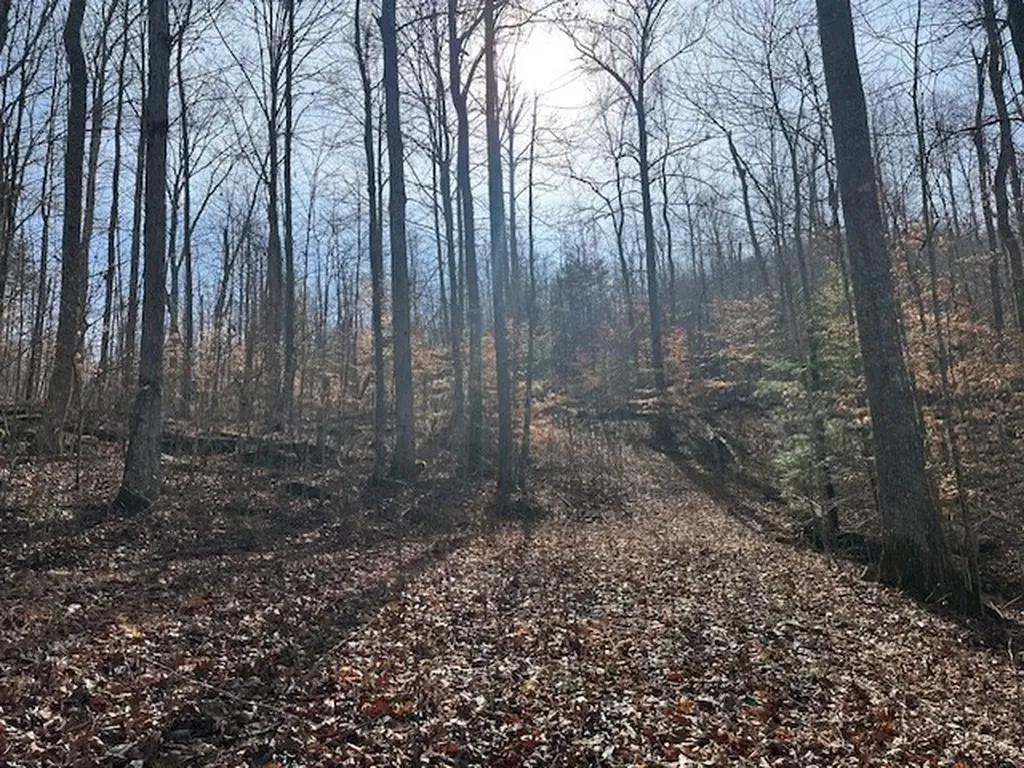 Lot 52 W Bobcat Lane Wilder TN 38589