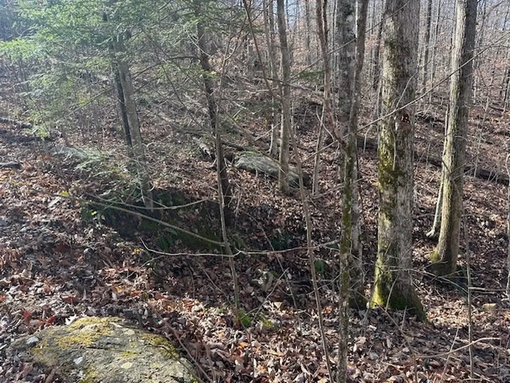 Lot 52 W Bobcat Lane Wilder TN 38589