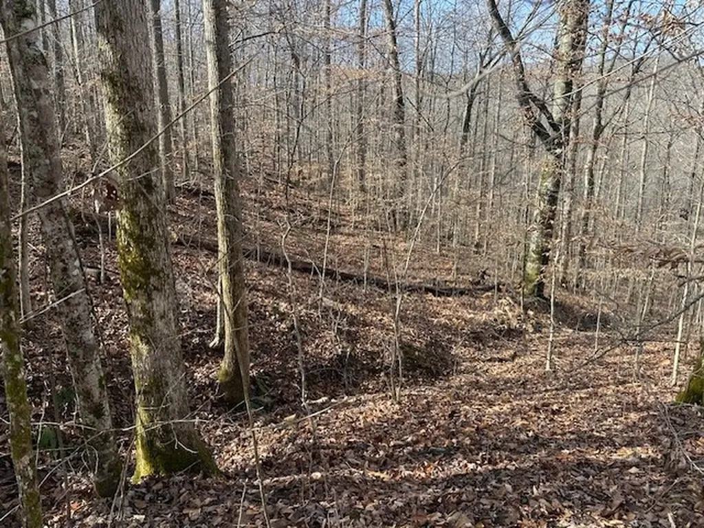 Lot 52 W Bobcat Lane Wilder TN 38589