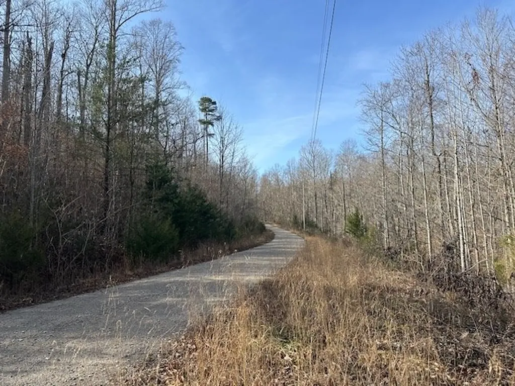 Lot 52 W Bobcat Lane Wilder TN 38589