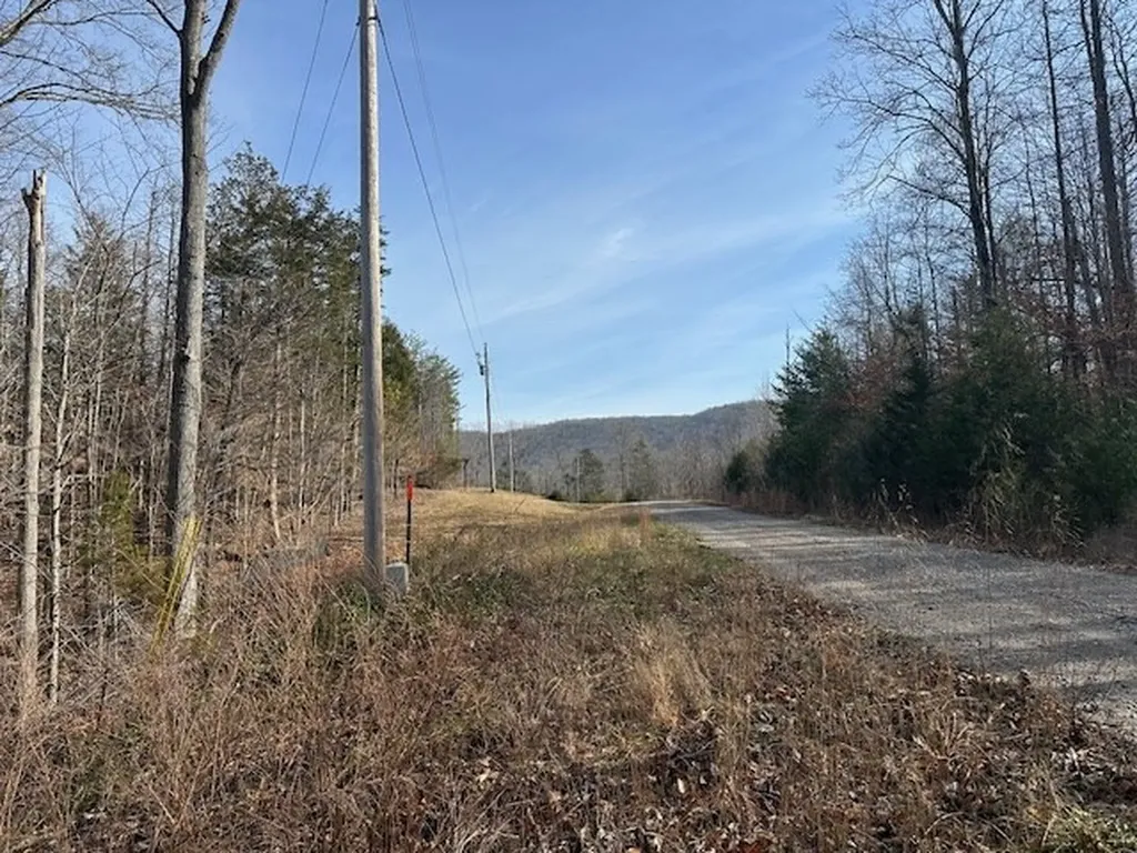 Lot 52 W Bobcat Lane Wilder TN 38589
