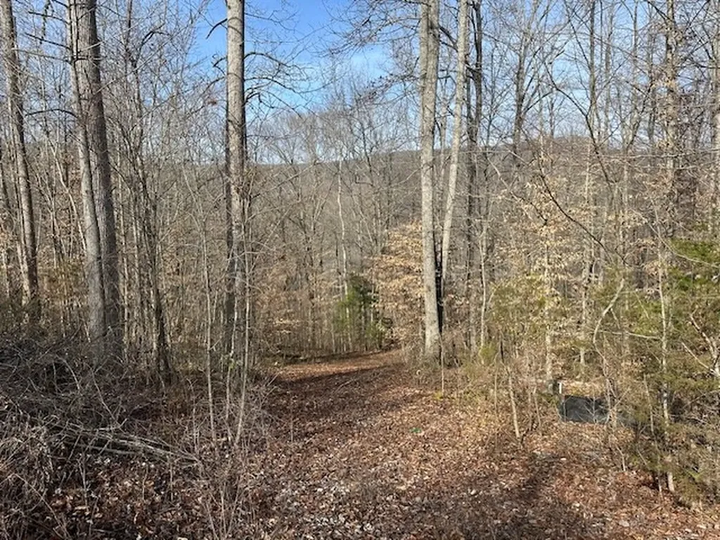 Lot 52 W Bobcat Lane Wilder TN 38589