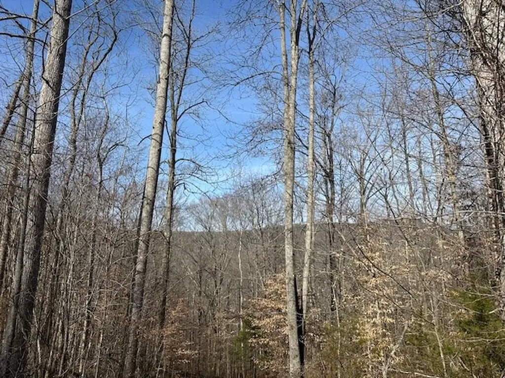 Lot 52 W Bobcat Lane Wilder TN 38589