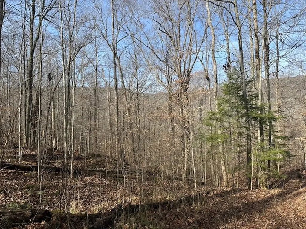 Lot 52 W Bobcat Lane Wilder TN 38589
