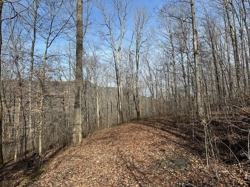 Lot 52 W Bobcat Lane Wilder TN 38589