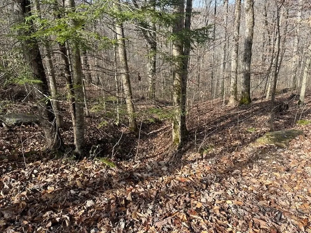 Lot 52 W Bobcat Lane Wilder TN 38589