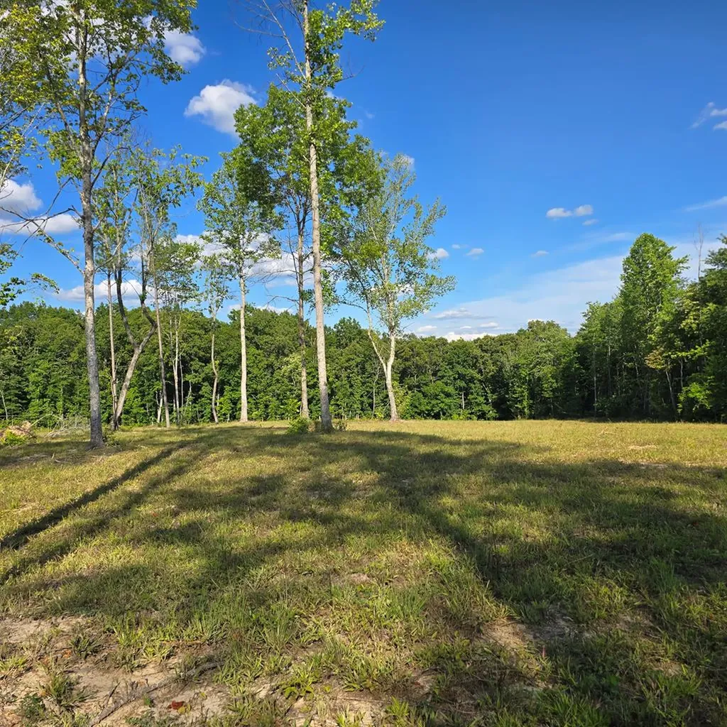 80+/- Ac Red Hill Road Sunbright TN 37872