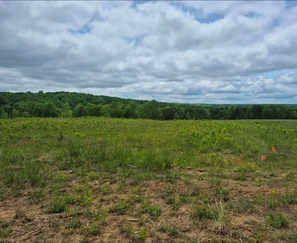305 Thomas Springs Road Crossville TN 38572