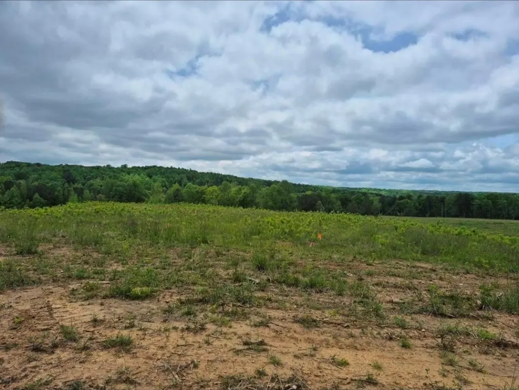 305 Thomas Springs Road Crossville TN 38572