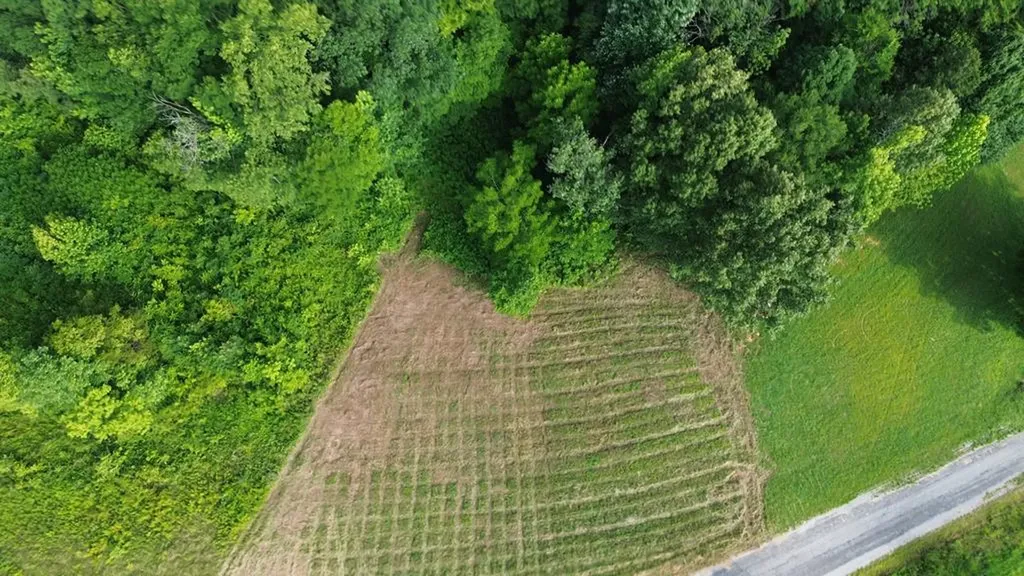 0 Summer Breeze Dr Lot 12 Smithville TN 37166