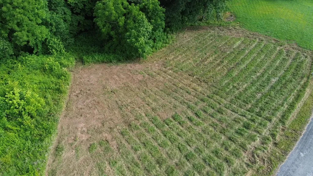 0 Summer Breeze Dr Lot 12 Smithville TN 37166