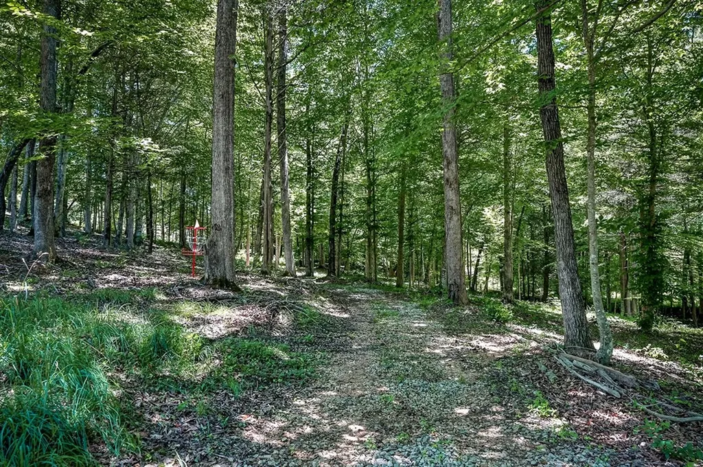 359 Allen Sells Lane Alpine TN 38543