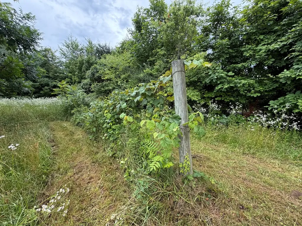 64 Coppett Road Crossville TN 38572