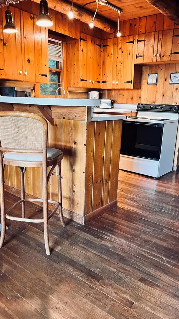 105 Thompson Lane Byrdstown TN 38549