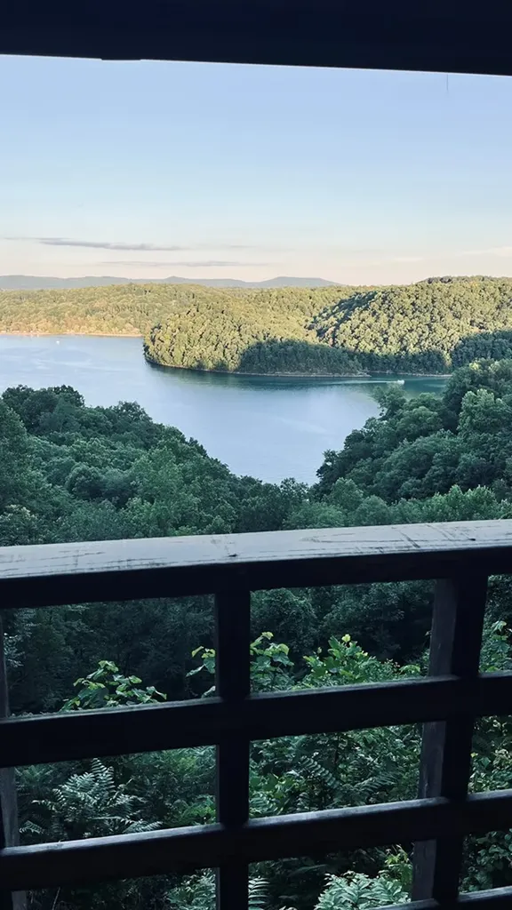 105 Thompson Lane Byrdstown TN 38549